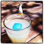 Antarktik dans un verre anisé !